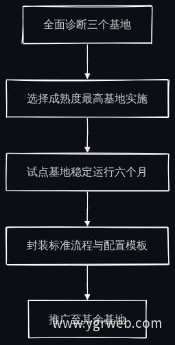 案例二：先试点后推广实施路径