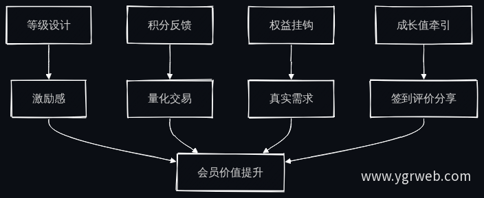 会员体系四要素协同机制