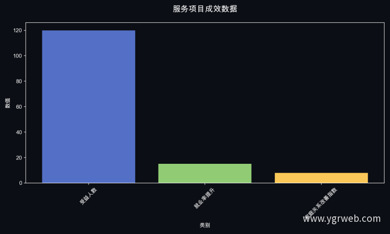 服务项目成效数据