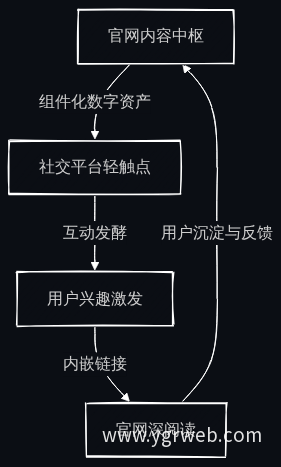 多平台内容分发与流量闭环