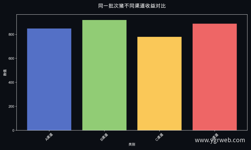 同一批次猪不同渠道收益对比