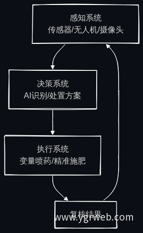 感知—决策—执行完整闭环流程