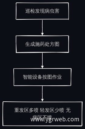 AI变量施药作业流程