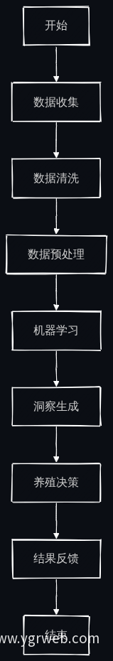 业务流程图