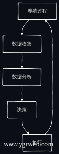 养殖企业信息化流程图