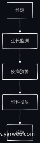 畜禽养殖流程图